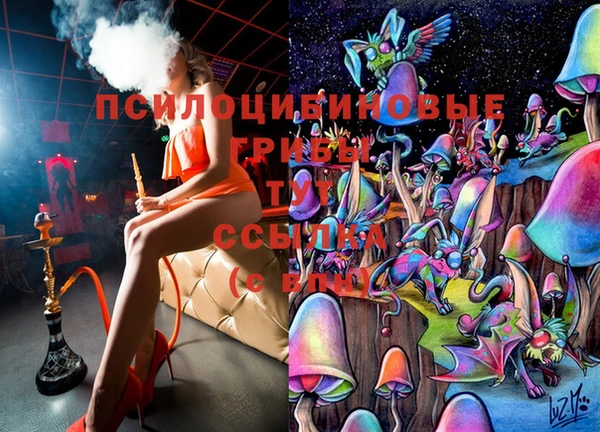 mix Костерёво