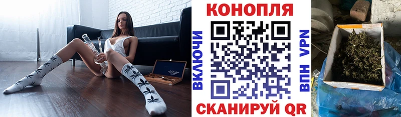 Купить закладки  Володарск  Канабис гибрид 